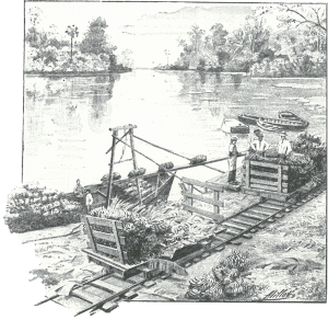 Chargement d'un bateau bananier au Costa Rica. Crédits: L'Illustration, mai 1903
