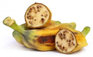 Banane sauvage avec ses graines. Crédits : Adobe Stock