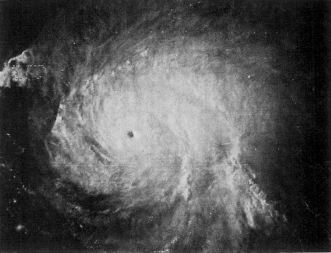 Ouragan David